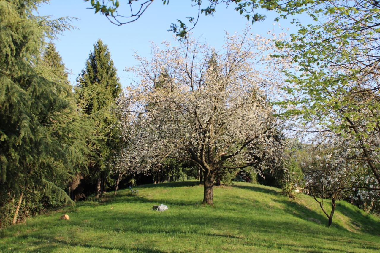 Villa Flangini Азоло Экстерьер фото